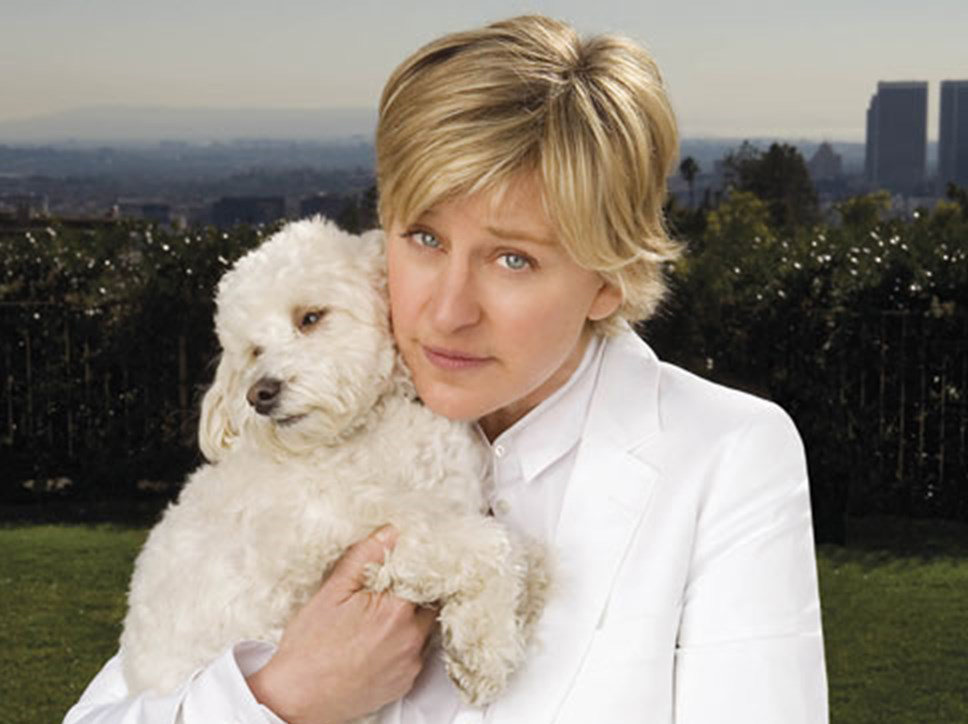 Ellen Degeneres dog